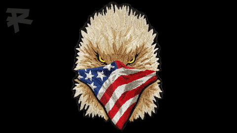 USA EAGLE V2 PATCH